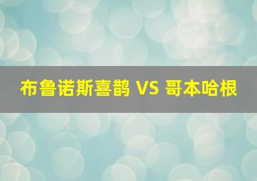 布鲁诺斯喜鹊 VS 哥本哈根